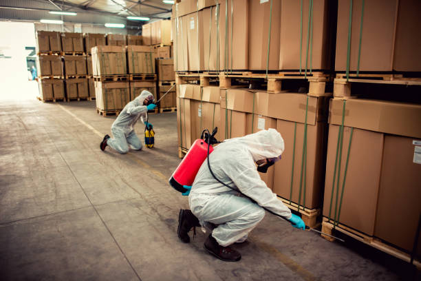 Best Best Pest Control Companies  in Hales Corners, WI