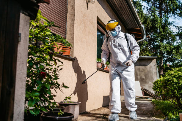 Best Wasp Removal Services  in Hales Corners, WI