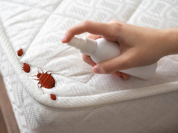 Best Pest Removal Services  in Hales Corners, WI