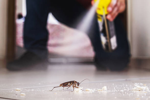 Best Rodent Control Near Me  in Hales Corners, WI